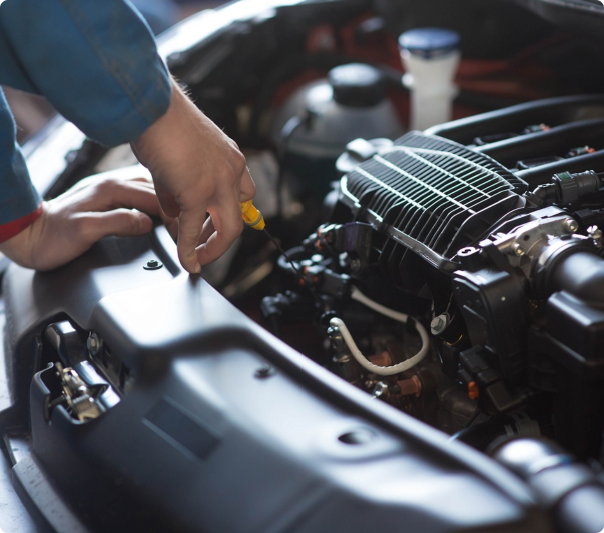 Name Surname profile image